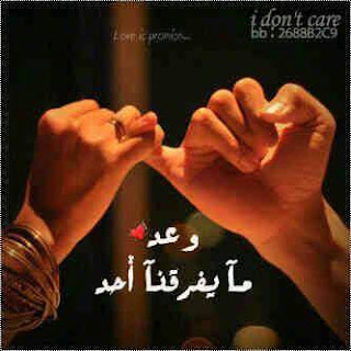 صور تعبر عن الحب صور تعبر عن الحب