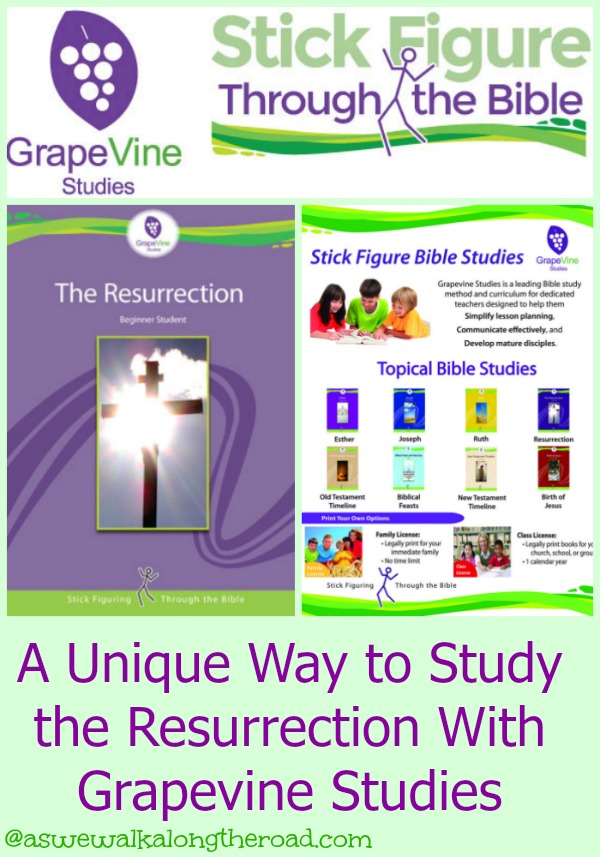 Homeschool Bible curriculum review Homeschool Bible curriculum review
