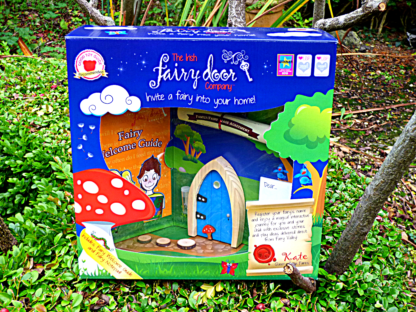 The Irish Fairy Door Company Fairy Wall Wall Art *BRAND NEW