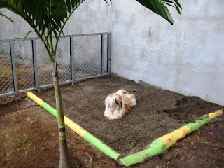 Comportamiento y Corrección Caja De Arena Un gran consejo del entrenamiento del perro es que sea claro para él que la caja de arena este bien, pero que en cualquier otro lugar es una zona de excavación,