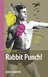 Rabbit Punch! by Greg Santos (DC Books, 2014)