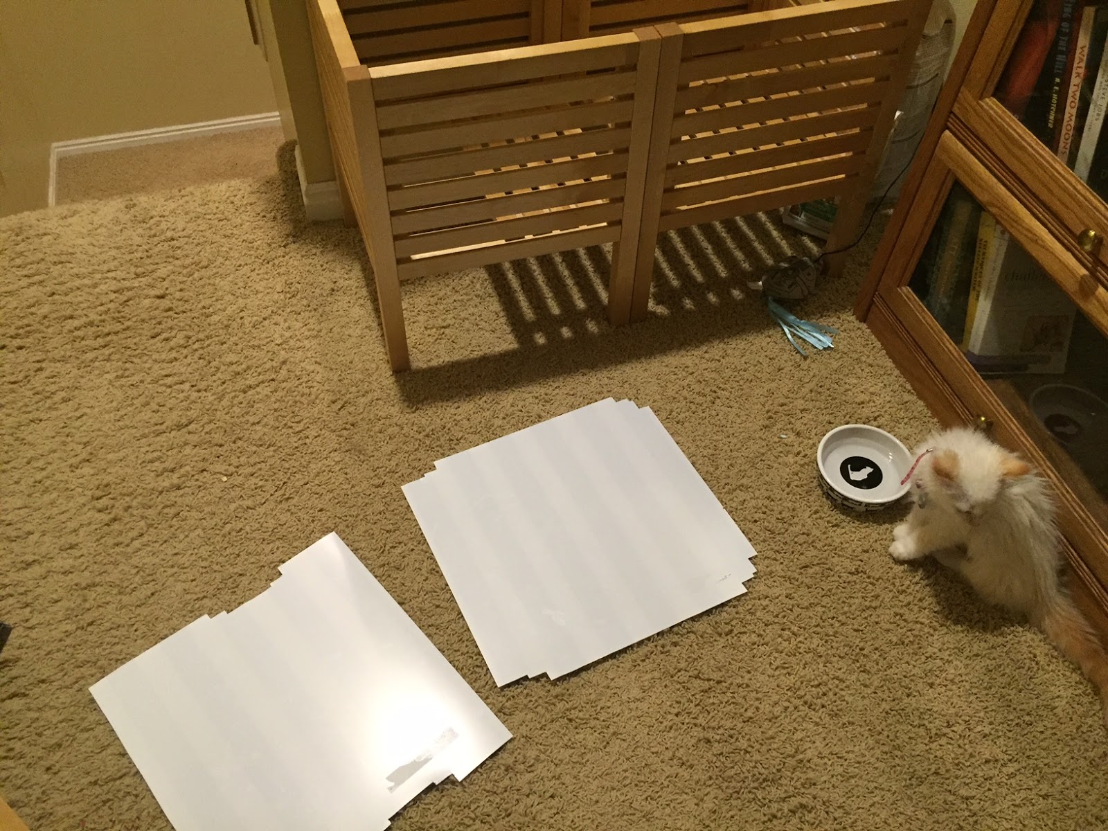 The good things Dog Proof Cat Feeder