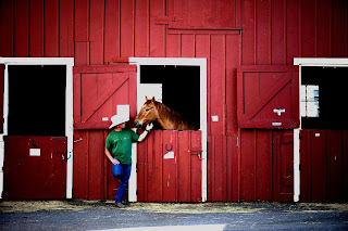 Why Your Horse Should NOT Be Fully Stabled A man standing beside a chestnut horse who is in a bright red barn