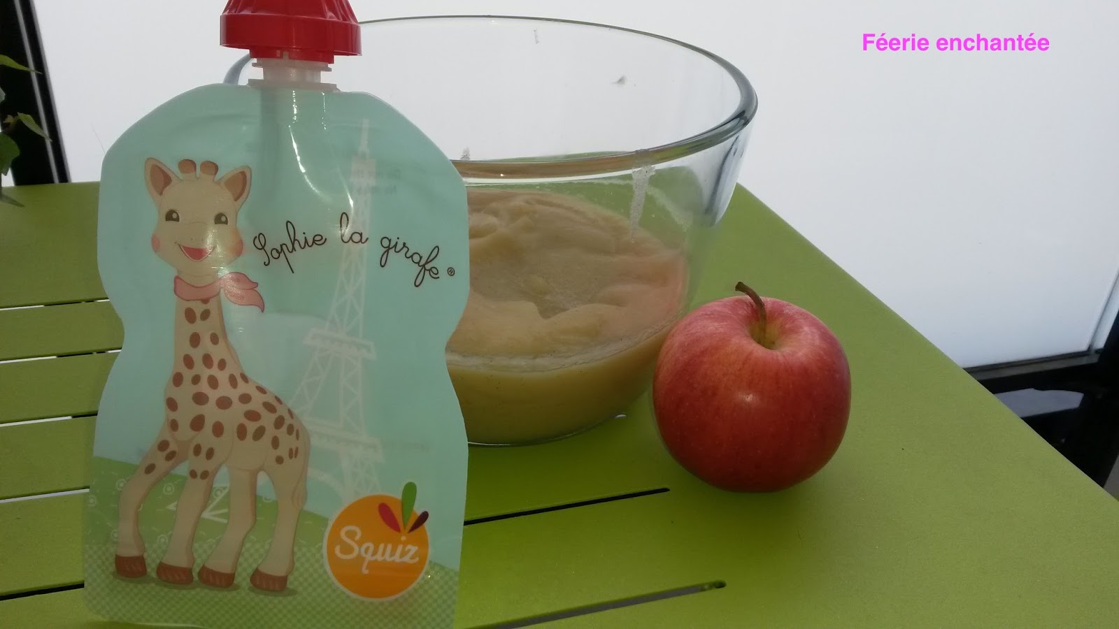 FEERIE ENCHANTEE DE LA COMPOTE MAISON EN GOURDE