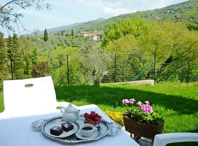 apartment Florence garden pool