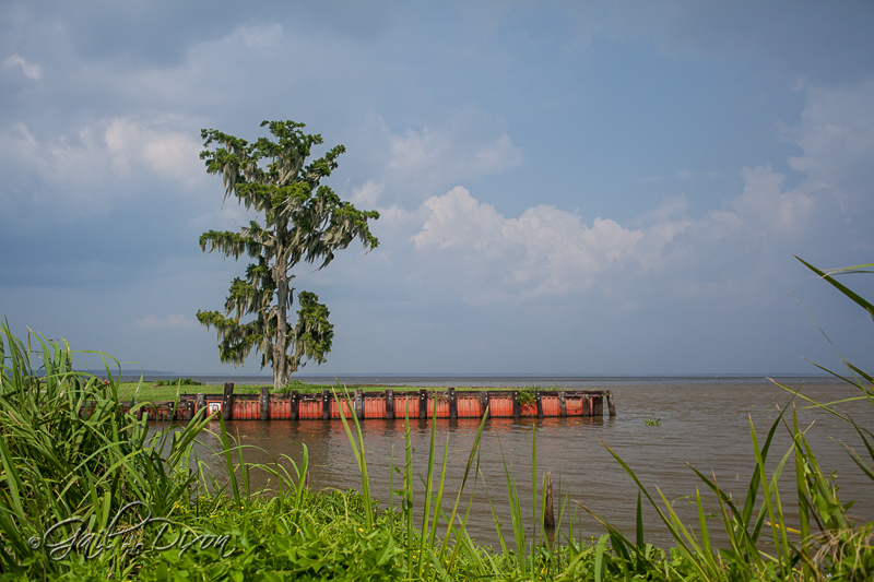 Louisiana Belle Lake Des Allemands