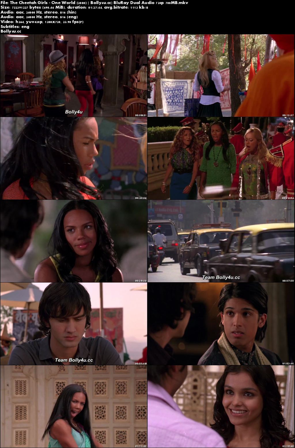 The Cheetah Girls One World 2008 BluRay 300MB Hindi Dual Audio 480p Download