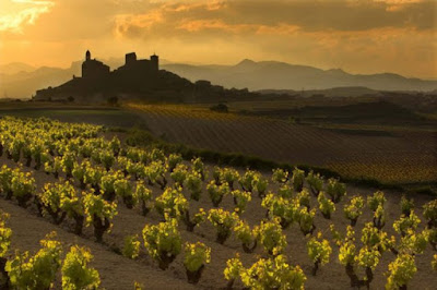 Spektakulärt landskap. Vinodling i Rioja. Spektakulärt landskap. Vinodling i Rioja.