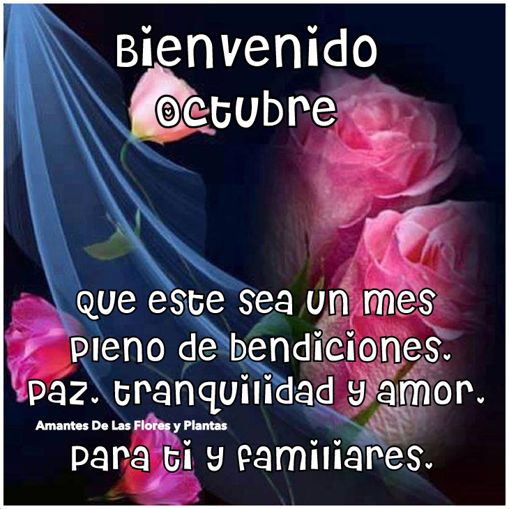 Image result for bienvenido octubre