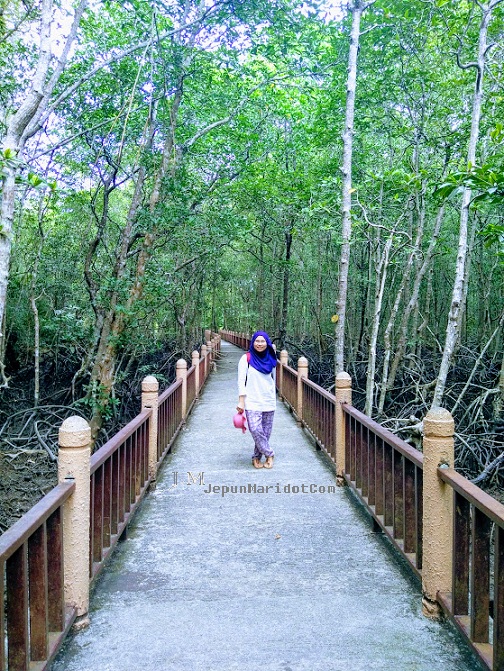 Langkawi Family trip : Mangrove Langkawi Family trip : Mangrove