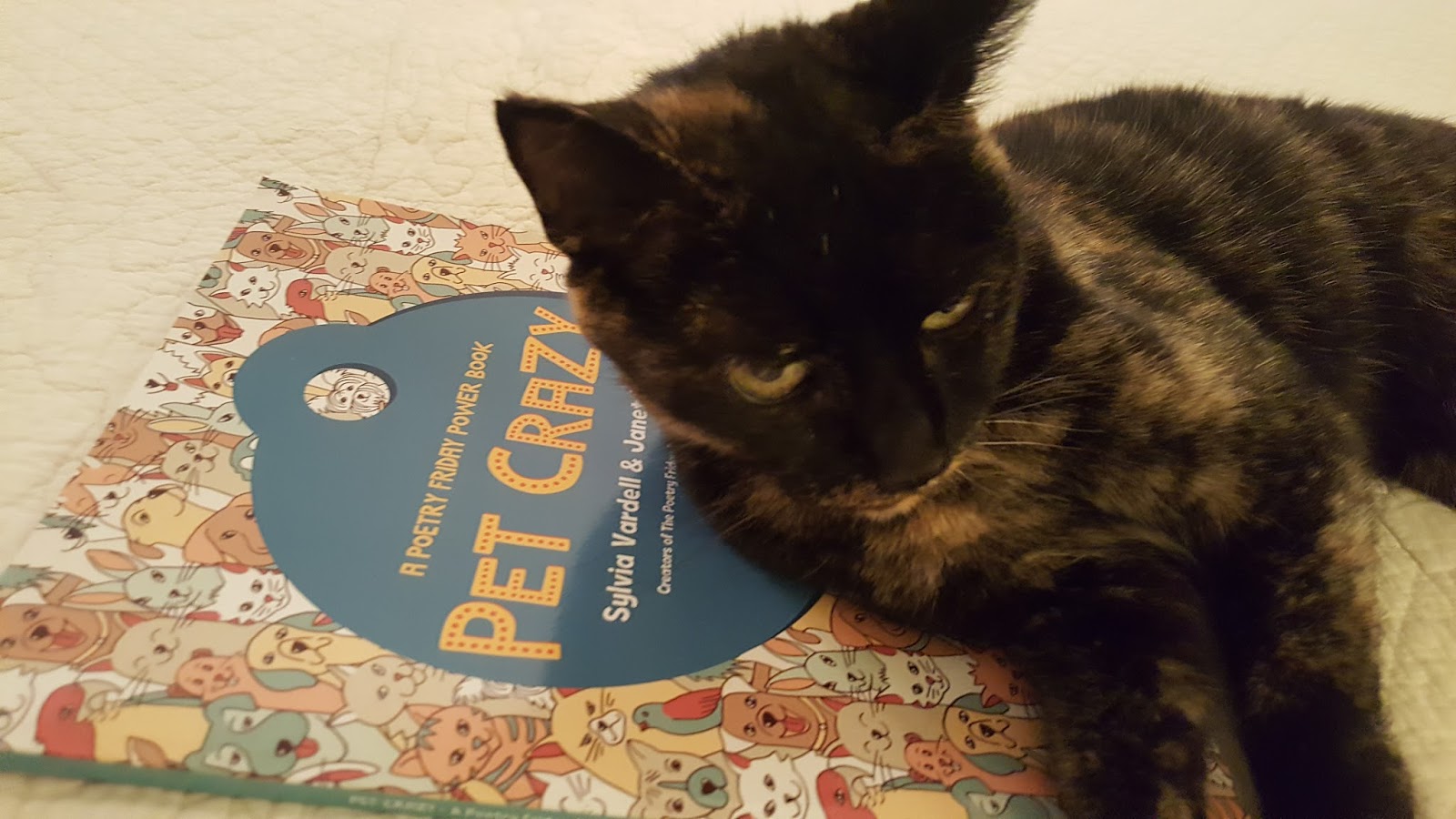 Teaching Authors6 Children's Authors Who Also Teach Writing 3