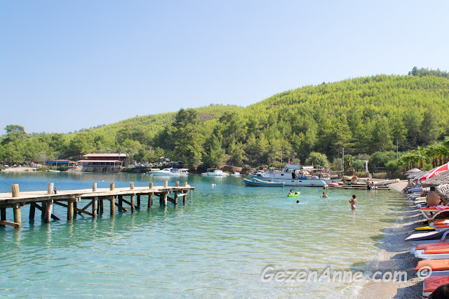 çam ormanları ile çevrili berrak sulu dalgasız Akbük koyu, Akyaka Muğla