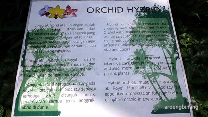 rumah anggrek kebun raya bogor