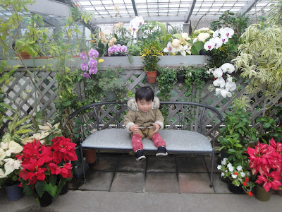 板橋区熱帯植物園　子供　花