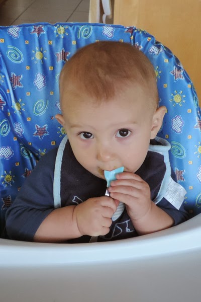 Oma and Opa quickly learned that when Reef hits his High-Chair tray, he is ready for another bite. When he loses interest in the experience, he has eaten enough! 