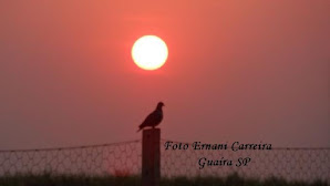 Por do Sol - Foto Ernani Carreira Guaira SP