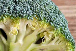 Broccoli, Dangerous or Useful for Gout?