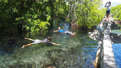 Berenang di Hutan Mangrove hutan mangrove, gili sulat, gili sulat lombok, wisata lombok, tempat wisata lombok