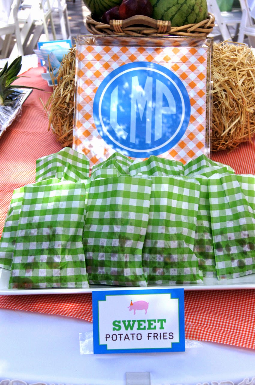 Nico and LaLa: Fun Farm Animal Birthday Party!