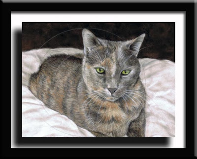 Tortoishell (Dilute) short haired cat portrait-pastel painting by Colette Theriault