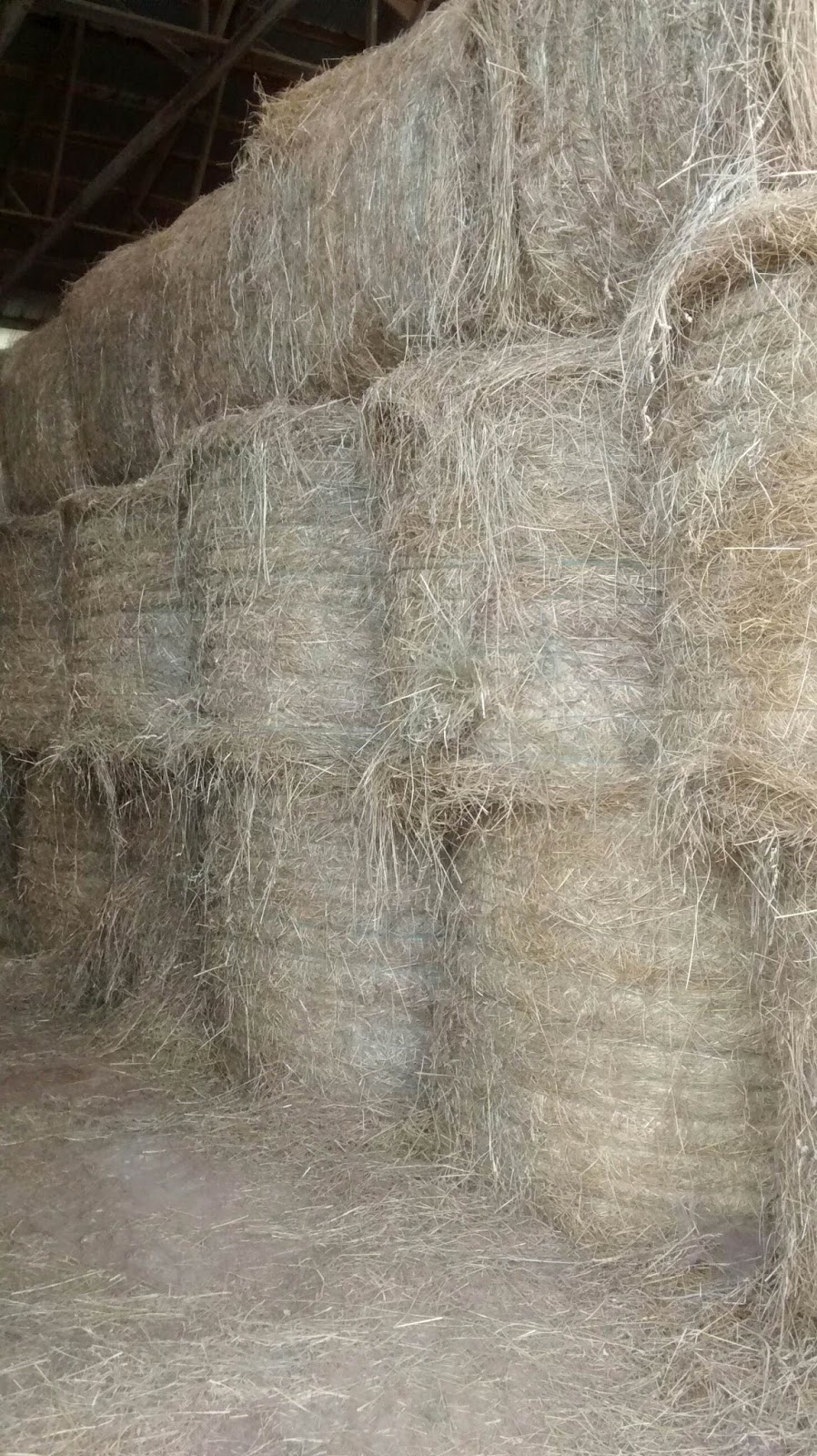 White House Farms Orchard Grass Horse Hay