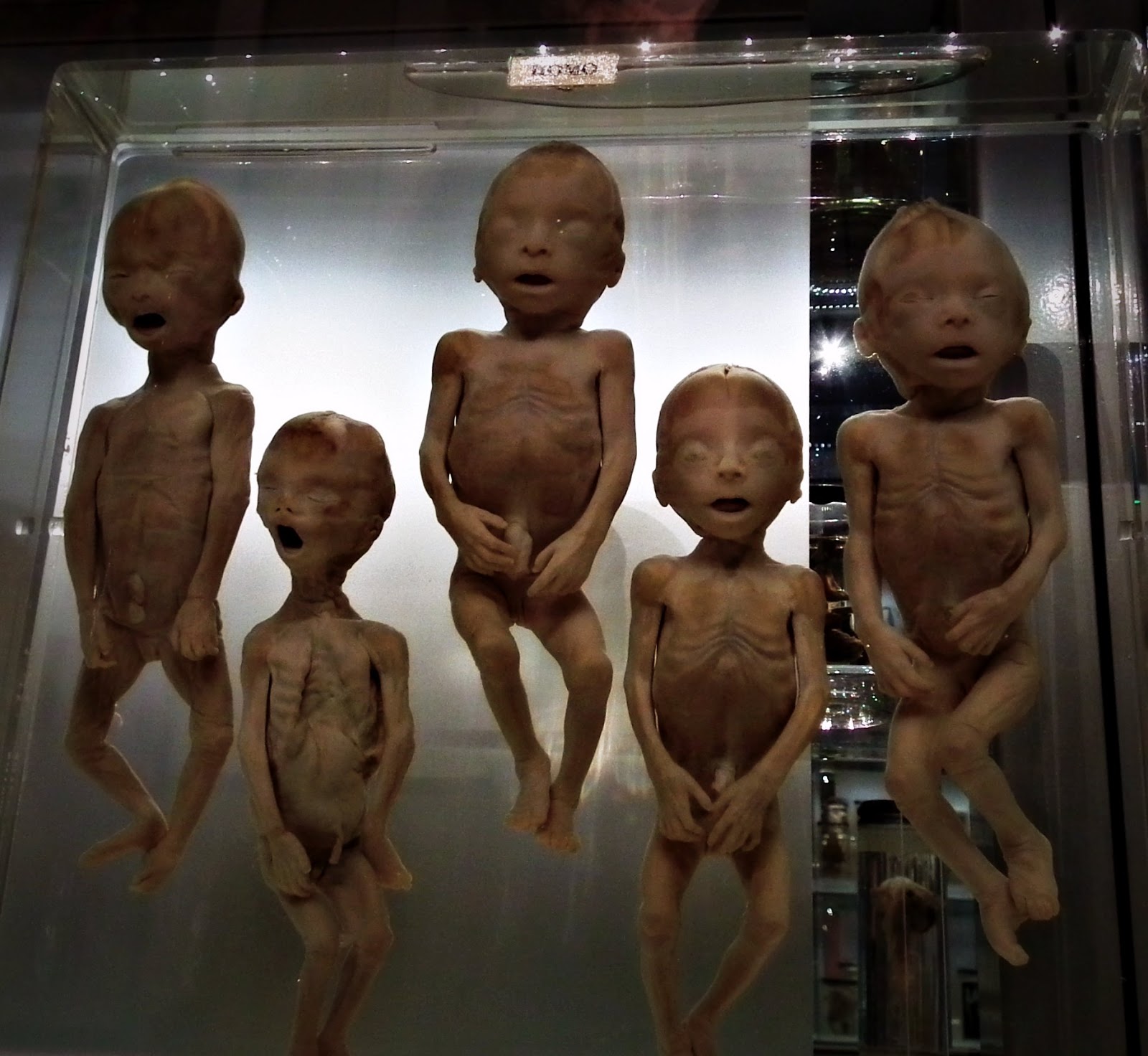 arora-nude-human-oddities-ethnic