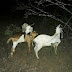 PM'S DE SEVERIANO MELO E ITAÚ FRUSTAM ROUBO DE ANIMAIS NA ZONA RURAL DE SEVERIANO MELO/RN