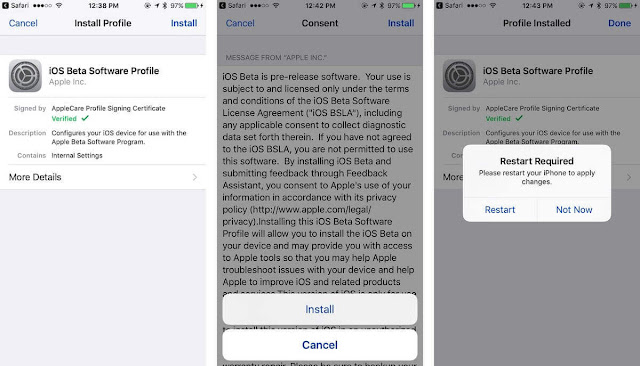 how to iOS Developer Beta