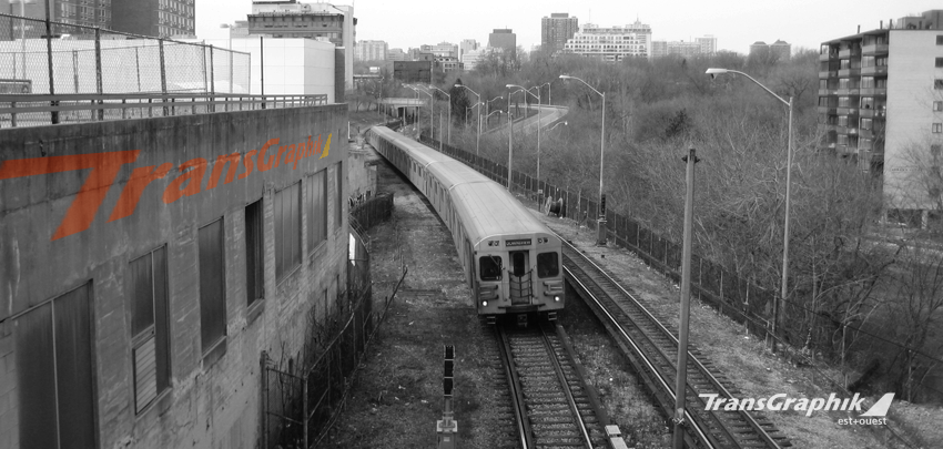 マスチックガムは何に使われますか マスティックガムは何に使用されますか?