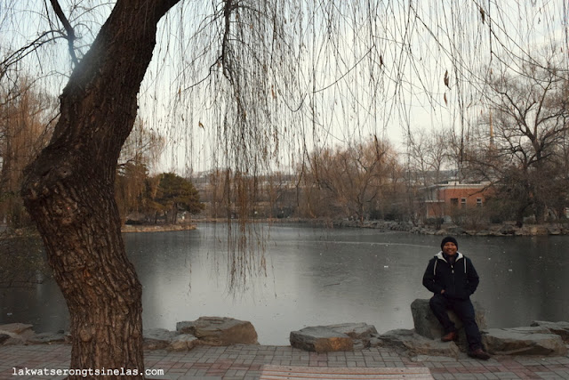 THE SHORT WINTER STROLL AT BEIJING ZOO