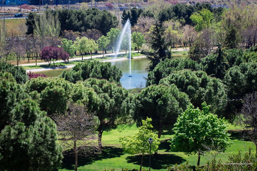 Parque de Tierno Galván de Madrid