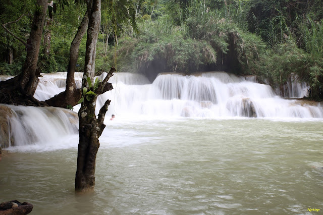 21-08-17. Excursión a las cascadas de Kuang Si. - No hay caos en Laos (5)