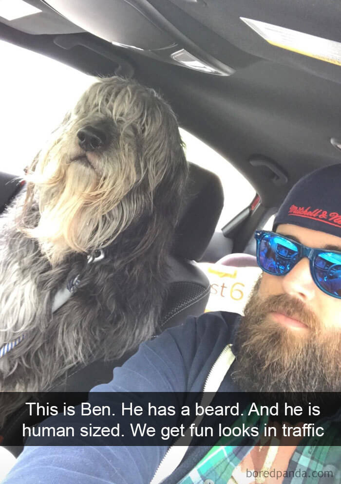 These Are The 30 Funniest Dog Snapchats We Have Ever Seen These Are The 30 Funniest Dog Snapchats We Have Ever Seen