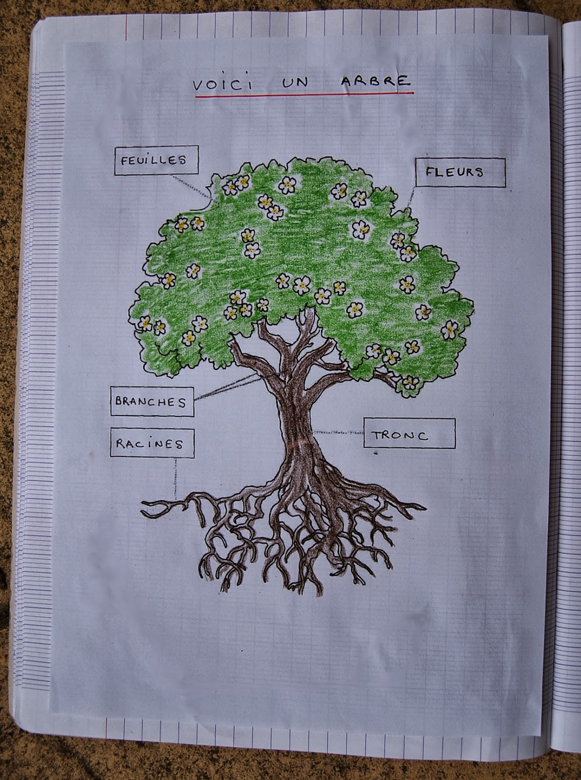 Page De Garde Cahier De Comptines Arbres