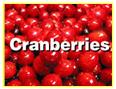 Cranberries Buah Cranberries