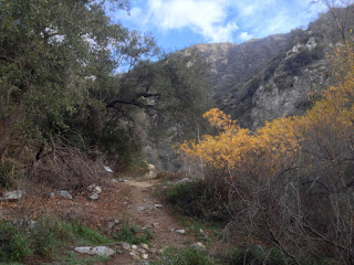 Heading north on Fish Canyon Trail, Angeles National Forest