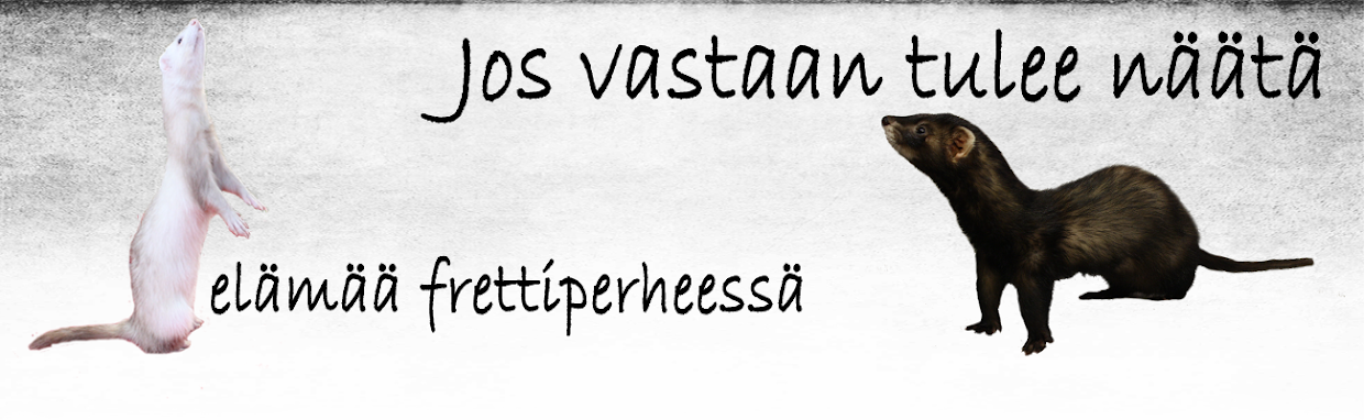 Jos vastaan tulee näätä