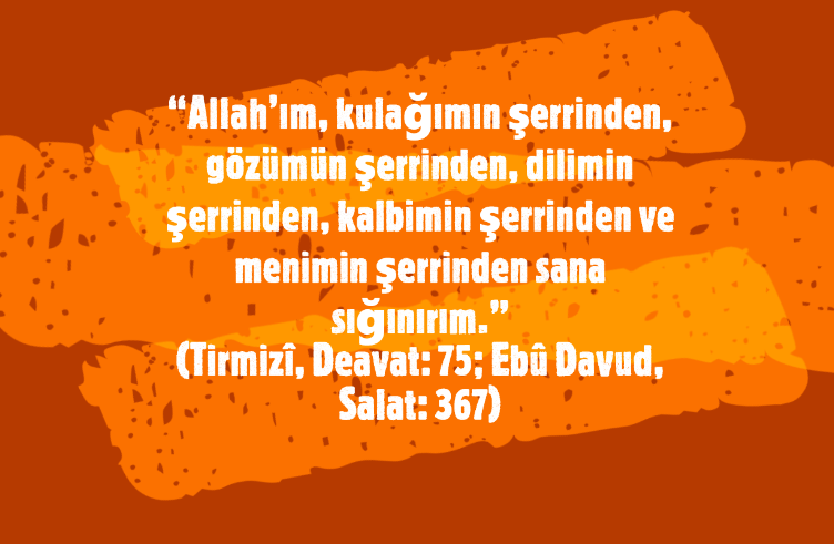 göz kulak dil kalp ve meninin şerrinden allaha sığınma duası günlük okunacak dualar
