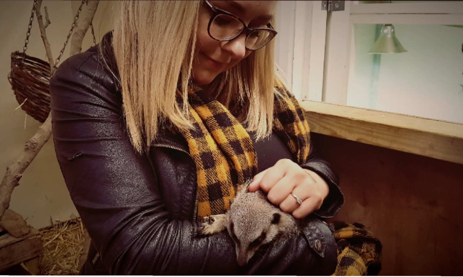  Feeding Raccoons and I held a Meerkat!! 