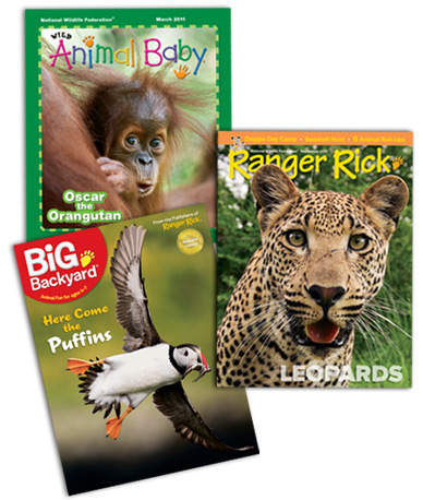 HOT* Deal on Ranger Rick, Animal Baby & Big Backyard Magazine  Subscriptions!!