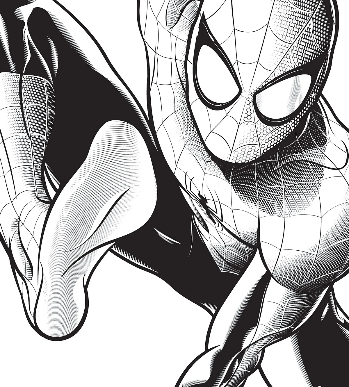 High-Quality Spiderman Coloring Book Background Concept
