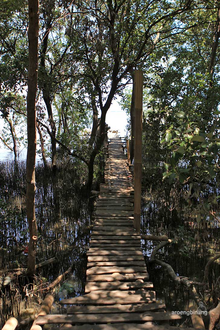 taman mangrove morosari demak