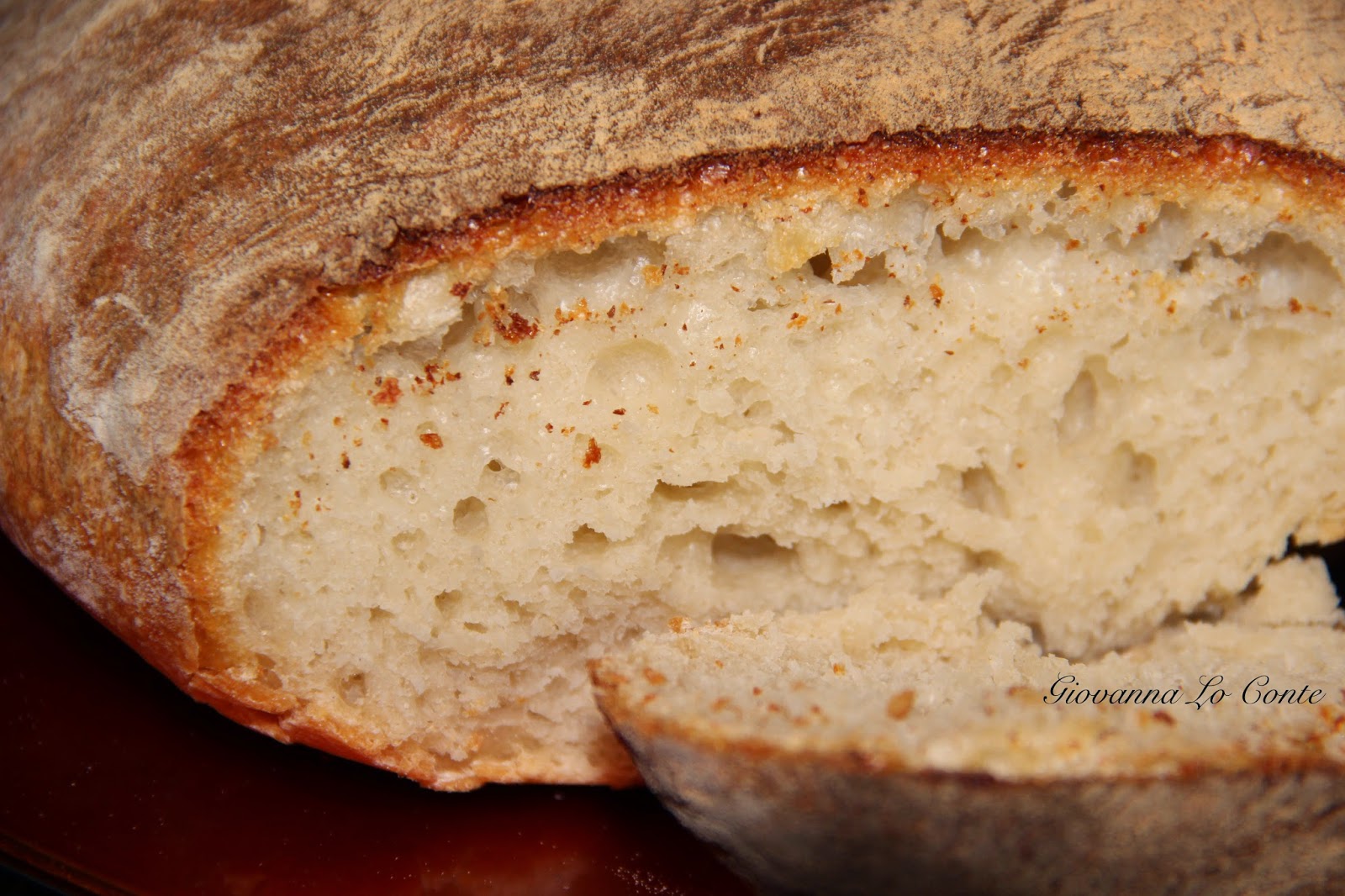 Raccolta Ricette Pane lievitato con Pasta Madre