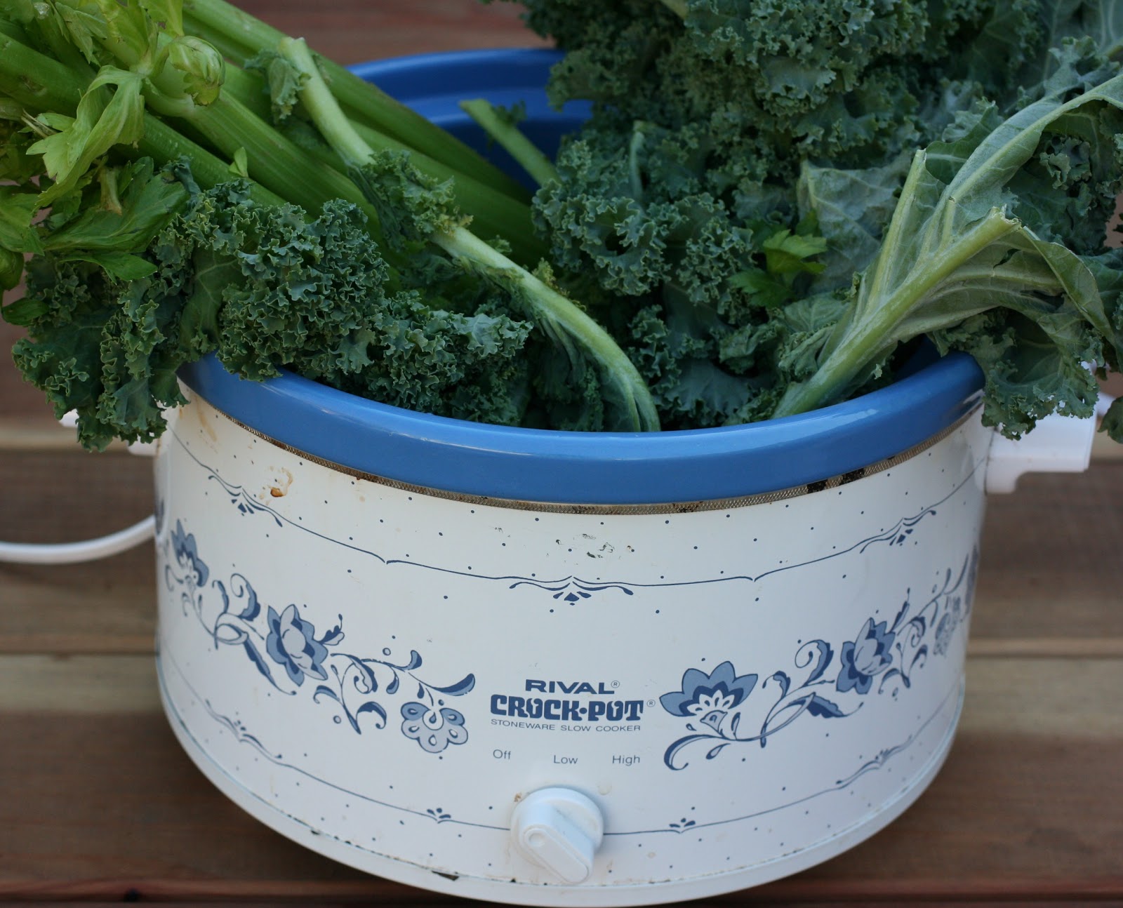 vegetarian-a-year-of-slow-cooking