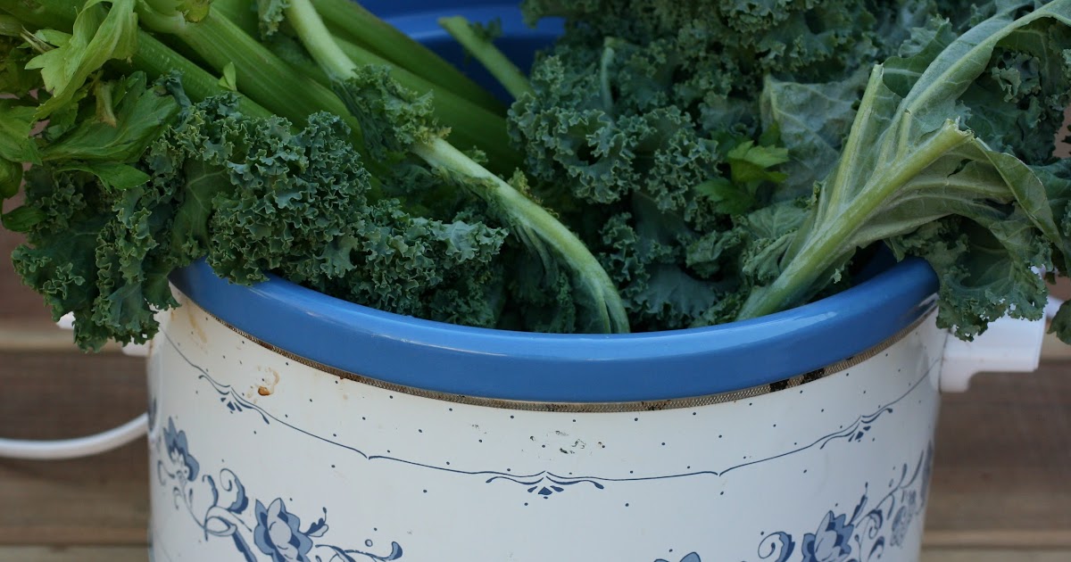 Vegetarian A Year of Slow Cooking