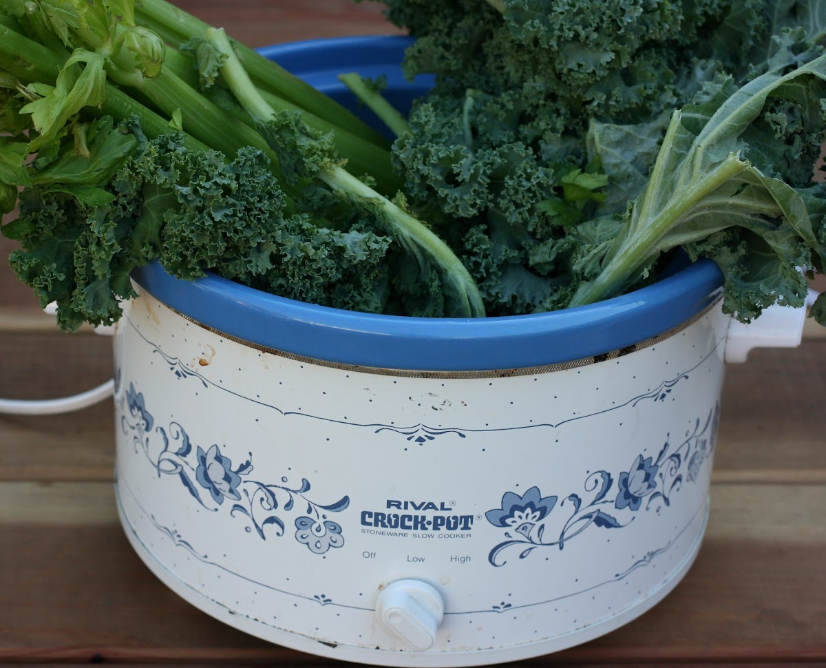 Vegetarian A Year of Slow Cooking