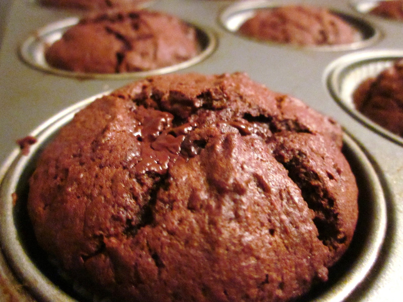 Schokomuffins — Rezepte Suchen