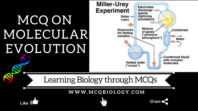 Urey Miller experiment - MCQ on Molecular Evolution
