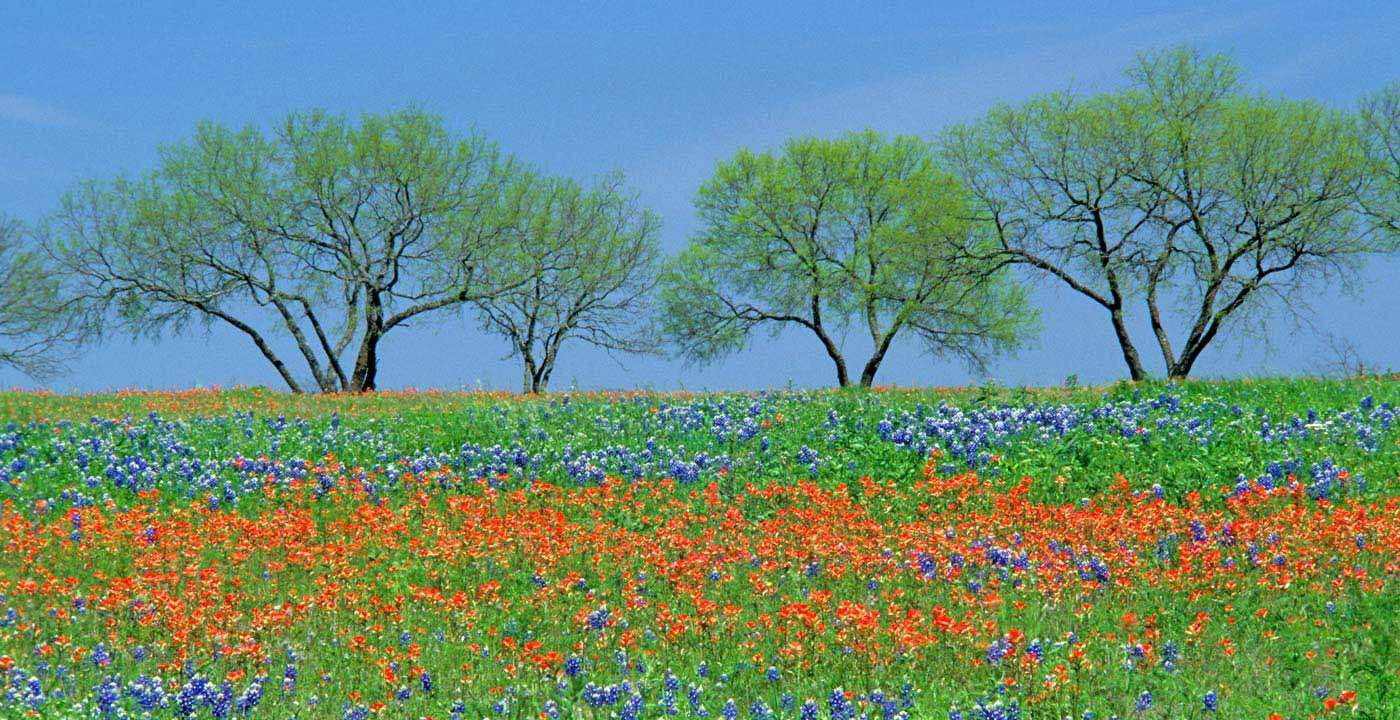 April with a broad range of technologies @ JUG Lodz