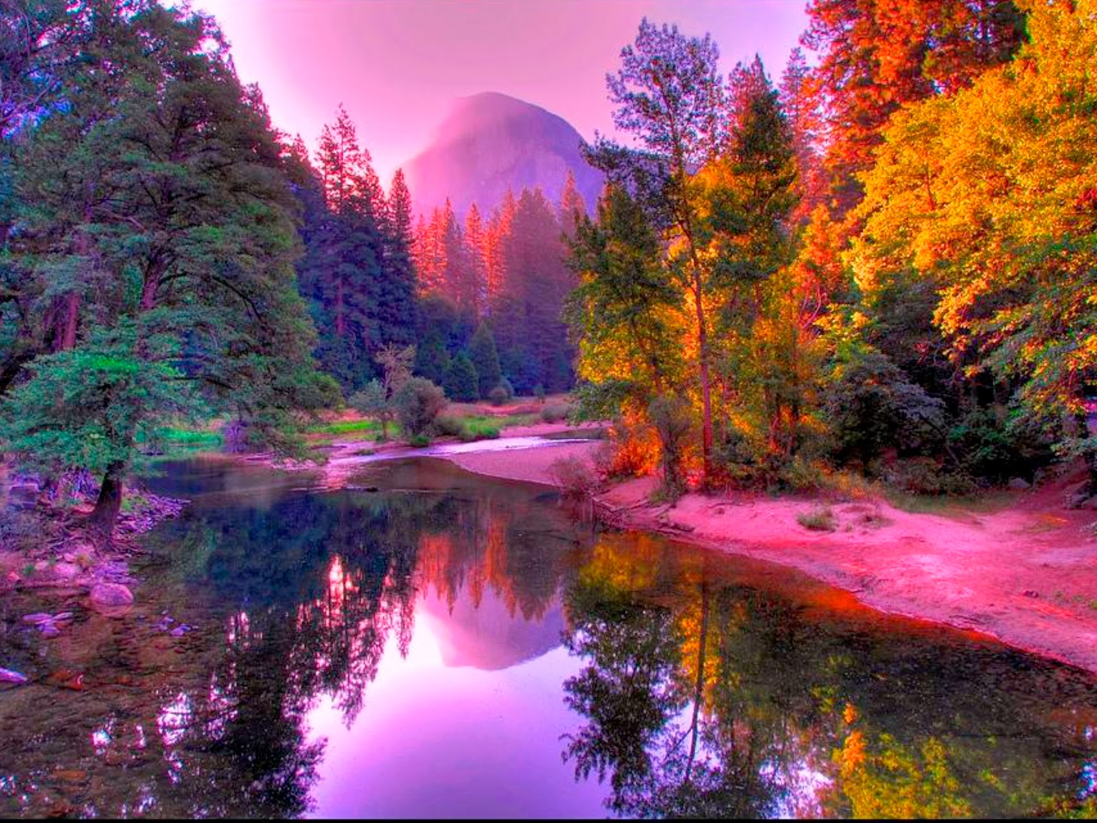 purpura: IMÁGENES EN ESPEJO